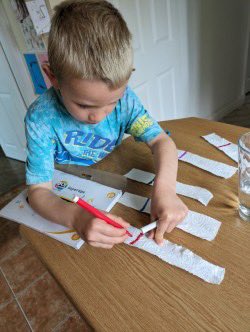 Science Wood Fold tweet media