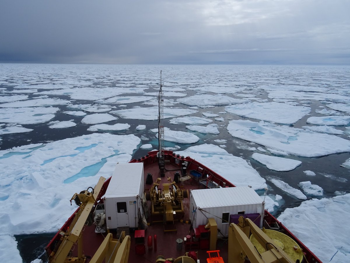 Here's an ice-breaker! 

Did you know that centuries-old multi-year ice in the Arctic region is now moving southwards into shipping routes in the global north?

The changing ice conditions have sparked a warning from scientists.

Read more: sams.ac.uk/news/sams-news…

#MarineScience