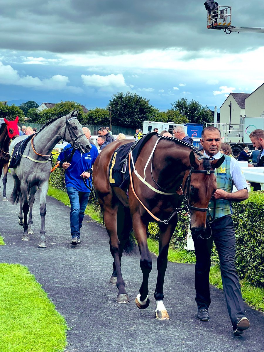 Deborah Helen Flynn tweet media