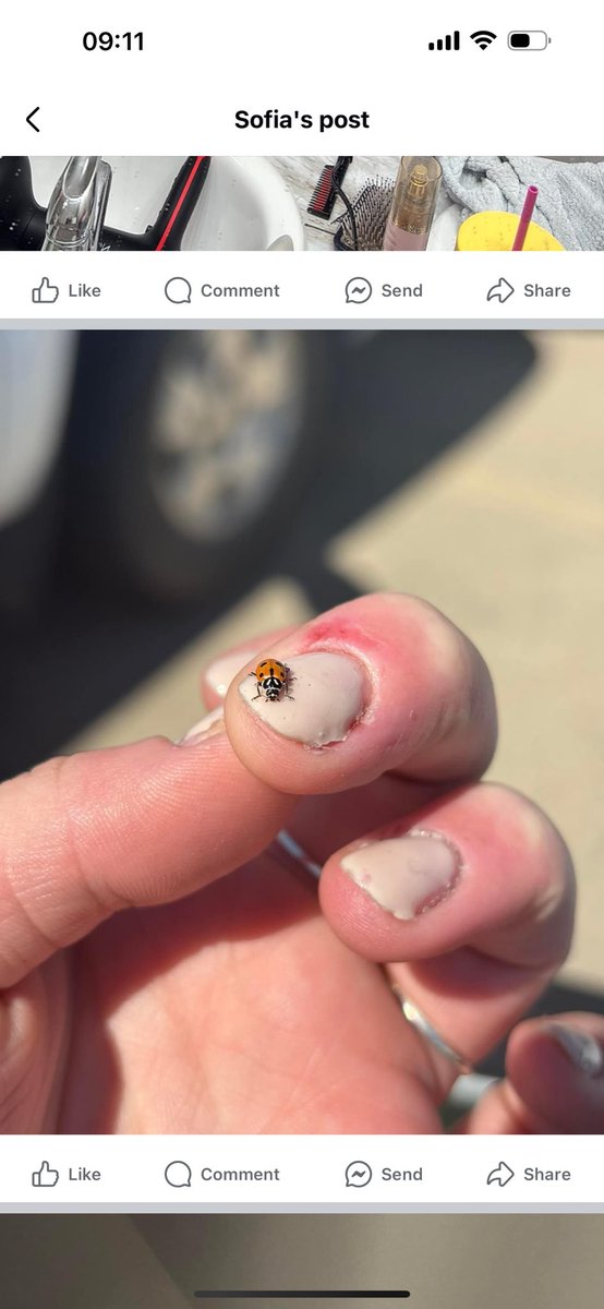 sofiajewelle's tweet photo. shared this photo on my facebook and like three of my parents friends commented ab how my cuticles look painful. like thank you for confirming the reason i didn’t post this!!! and thanks for making me feel bad ab anxiety!!!! and how i cope with anxiety!!!!! https://t.co/sRdTST9CT3