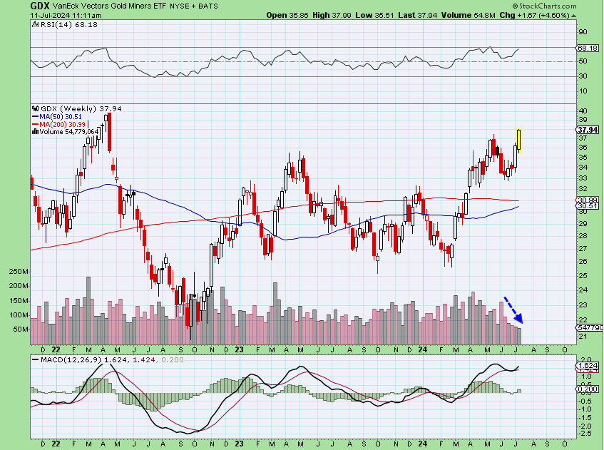 Where my volume peeps at? 🤔

Is the light volume on this move a concern? $GDX #gold #metals #mining