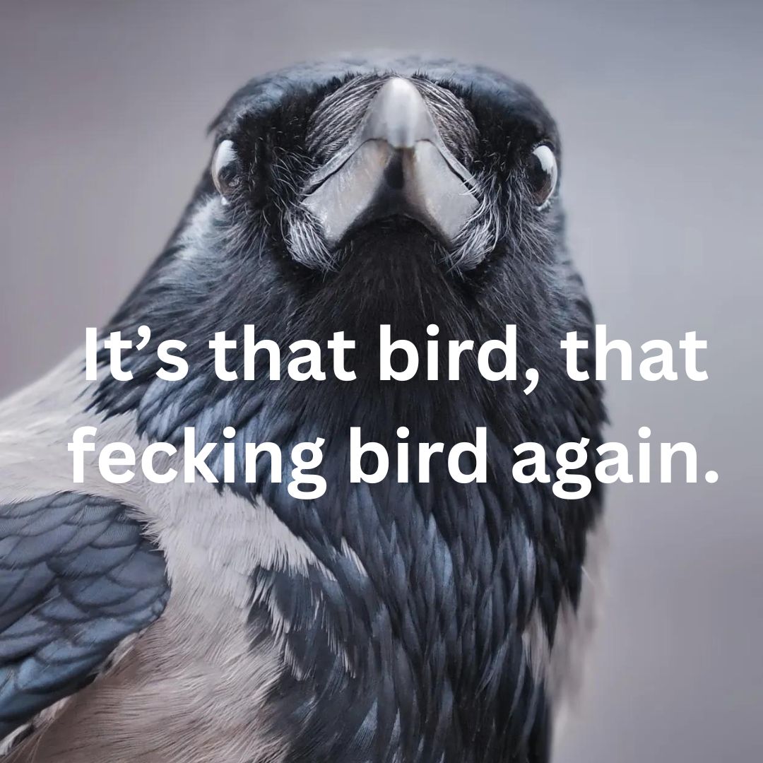 Creature Publishing tweet media