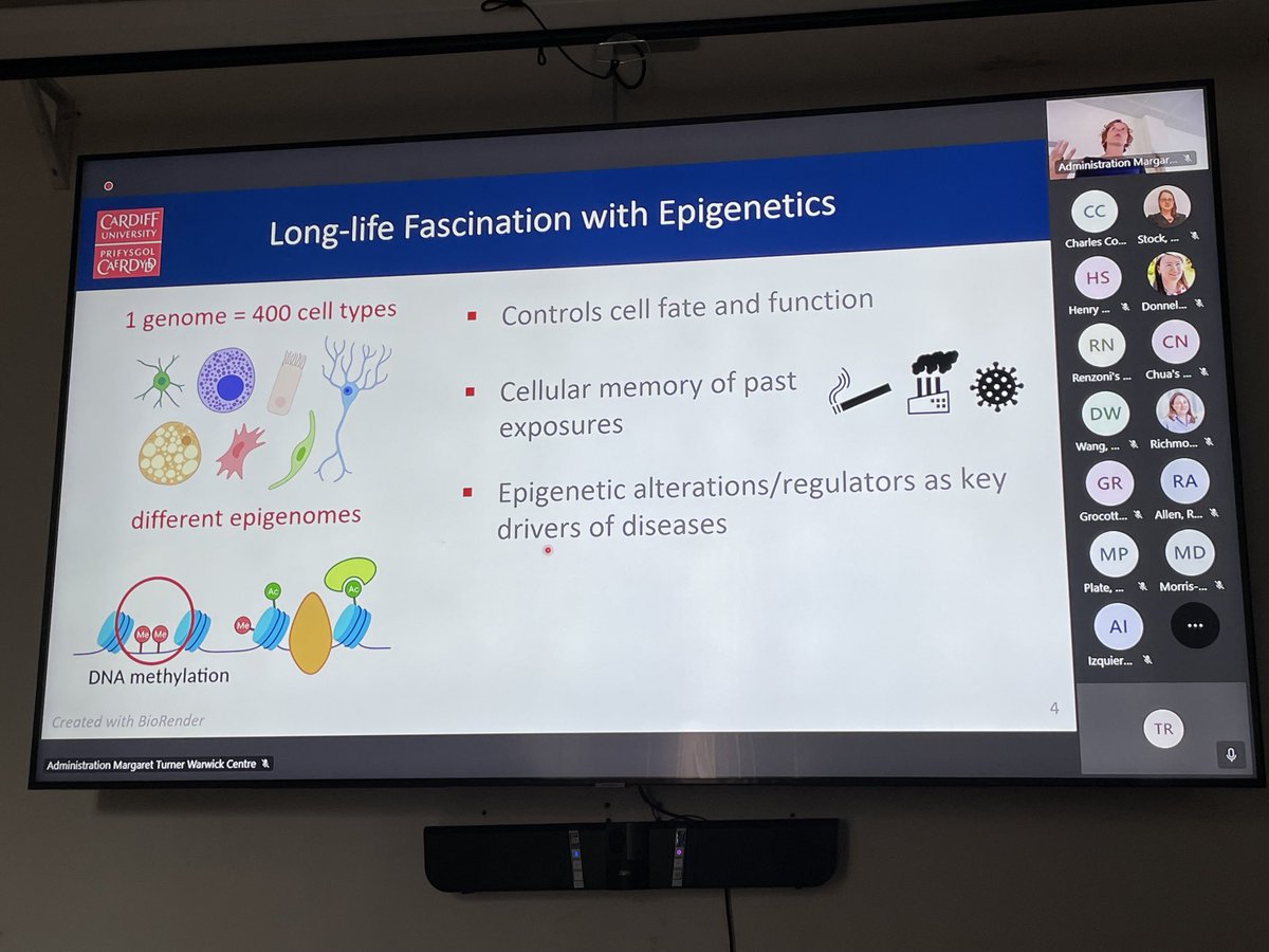 So excited to hear #FutureLeaderFellow ⁦<a href="/cardiffuni/">Cardiff University</a>⁩ <a href="/RenataJurkowska/">Renata Jurkowska</a>⁩ tell us about her lifelong fascination with epigenetics, So likely 2b key factor in alveolar repair &amp; disease. #MTWSeminars. Lecture available at imperial.ac.uk/mtw-centre-fib… ⁦<a href="/ImperialNHLI/">NHLI</a>⁩