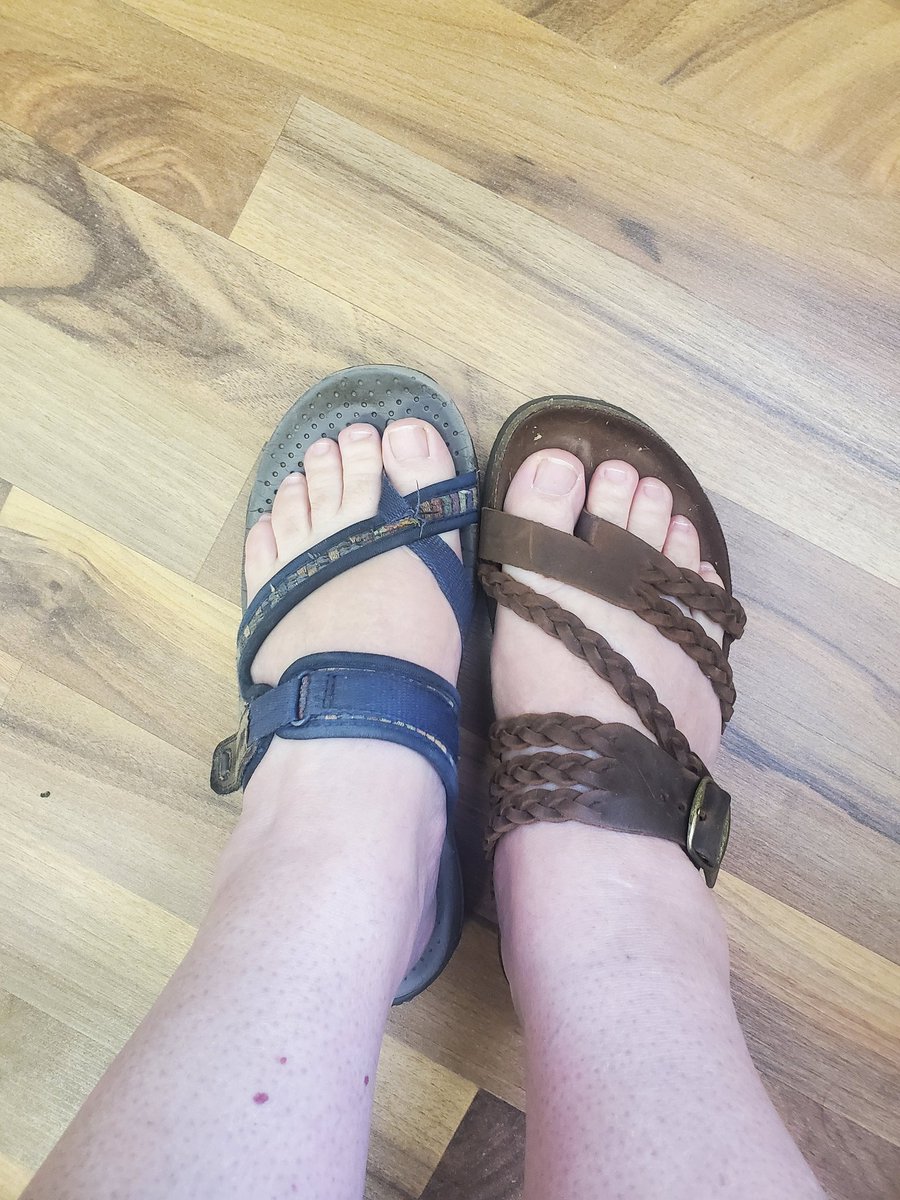 PfaffDena's tweet photo. Okay, I just walked mail out to my work mailbox and thought one of my sandals felt softer than the other. This is what happens when you get dressed in the dark and not paying attention 🙄 #inahurry #gettingdressed #shoes #bonehead https://t.co/DeIKb9Irzz