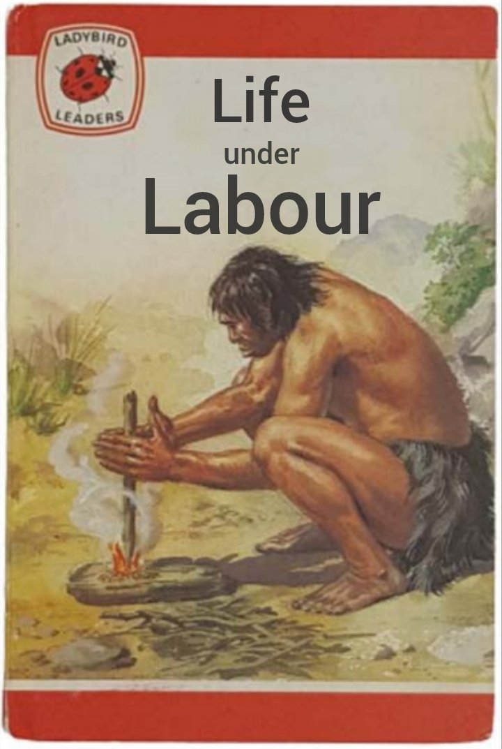 TimForAlI 🇬🇧🇺🇦🇮🇱🇬🇪 tweet media