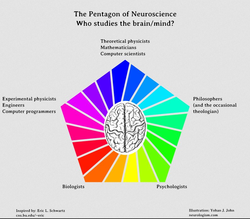 Luiz Pessoa (@pessoabrain) on Twitter photo Can one be an actual circle around this brain? (or pentagon, I guess)
Figure by <a href="/DrYohanJohn/">Yohan J. John</a> Can one be an actual circle around this brain? (or pentagon, I guess)
Figure by <a href="/DrYohanJohn/">Yohan J. John</a>