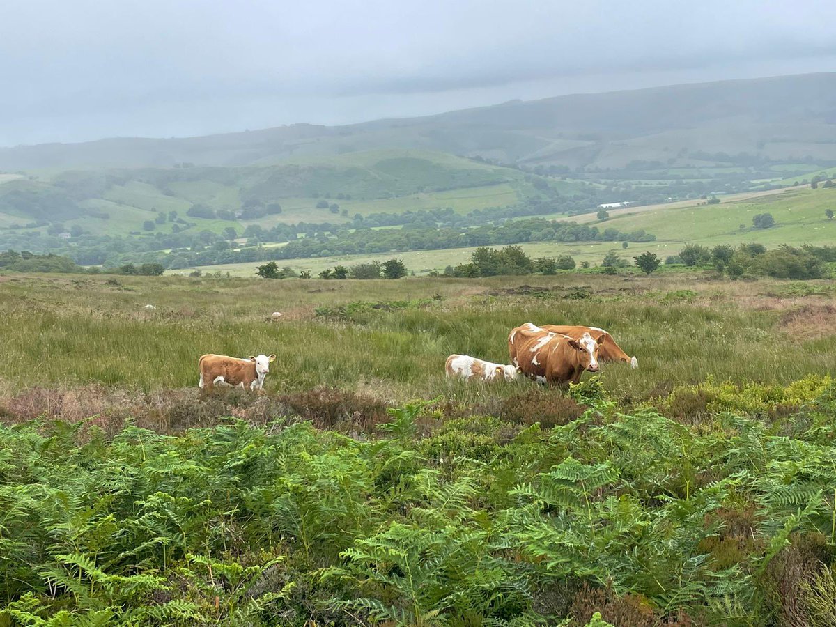 Finham Park DofE tweet media