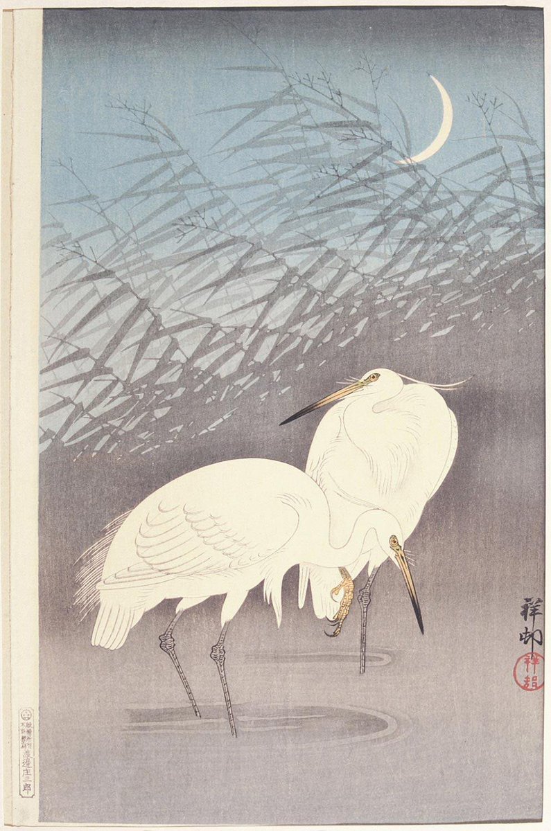 JapanTraCul's tweet photo. Herons in the Moonlight, by Ohara Koson, ca. 1926 https://t.co/odz8N1EB0v