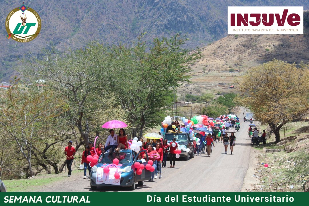 UT de la Sierra tweet media