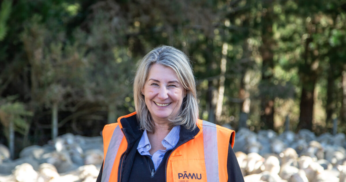Meet Bernadette Kelly, our Chief People, Safety and Reputation Officer. When Bernadette started with Pāmu, she felt like she was coming back to her roots – it was the best career move she's made. 

Read about Bernadette and all that she has to offer: bit.ly/4cC3DFo