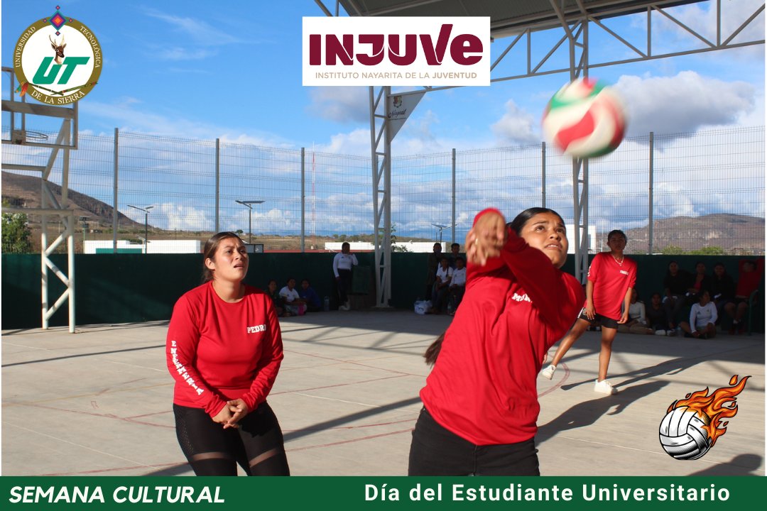 ¡Voleibol en la UT de la Sierra! 🏐 Torneo relámpago lleno de pasión y emoción en el Día del Estudiante Universitario. ¡Felicidades a los campeones, Tuturi Silvestres y Enfermería 90's! #UTSierra #DeporteUniversitario