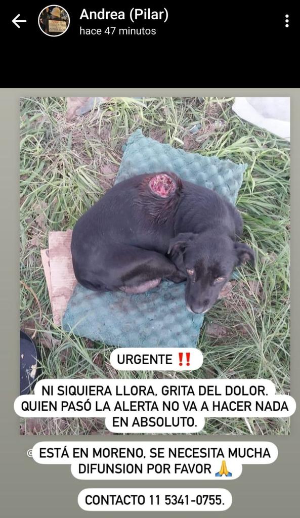 Difundimos