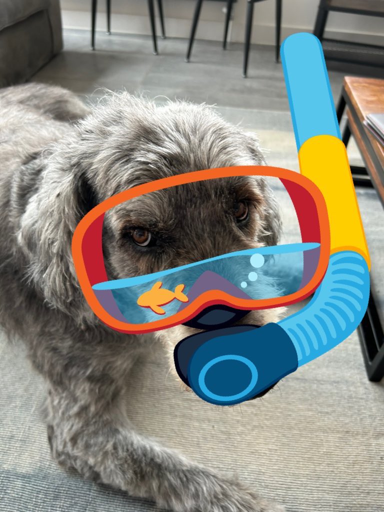 #masksformollie