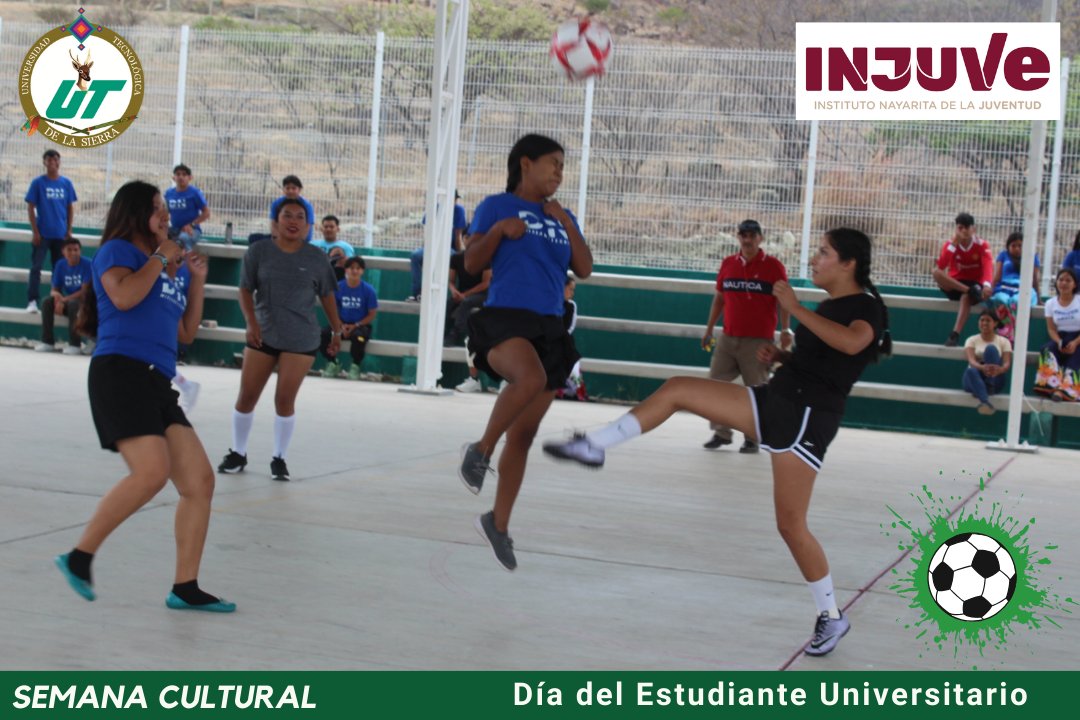 UT de la Sierra tweet media
