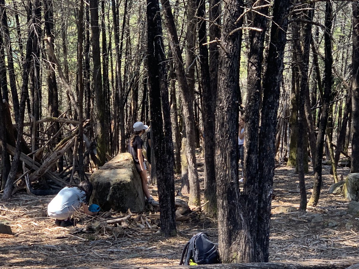 Our SRCS students are loving their outdoor, experiential-learning activities today at Bohemia Ecological Preserve! Thank you to Lesly and the entire team <a href="/LandPaths/">LandPaths</a>! #SRCSHearts&amp;Minds