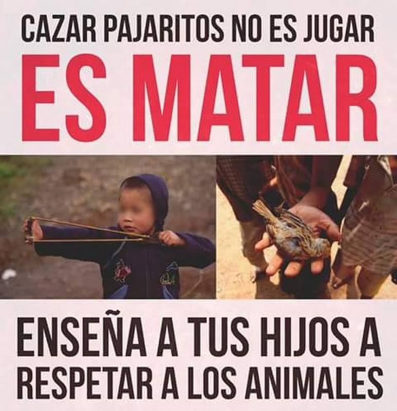 En nuestro entorno, todos podemos ayudar a que el mundo sea mejor: ¡Enseña a tus hijos a respetar a los animales!