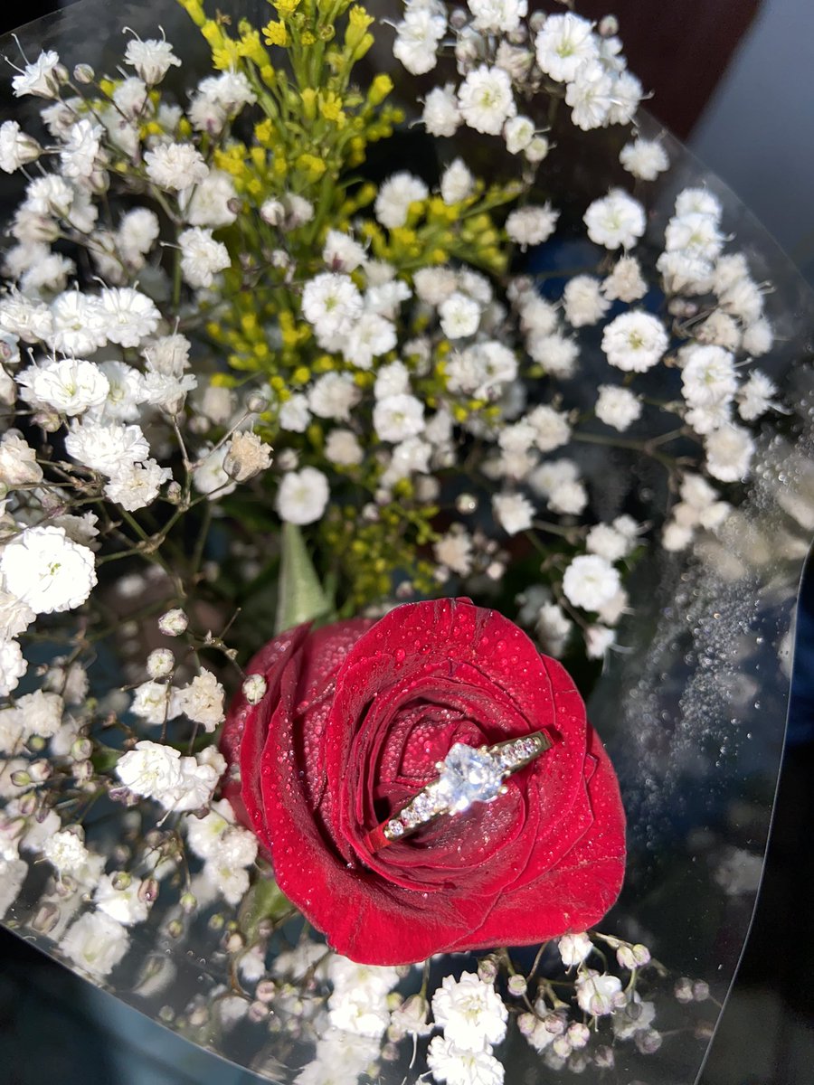 karenTllz24's tweet photo. No saben la felicidad que siento🥹💍🥰❤️ https://t.co/YEqiWiAB9x