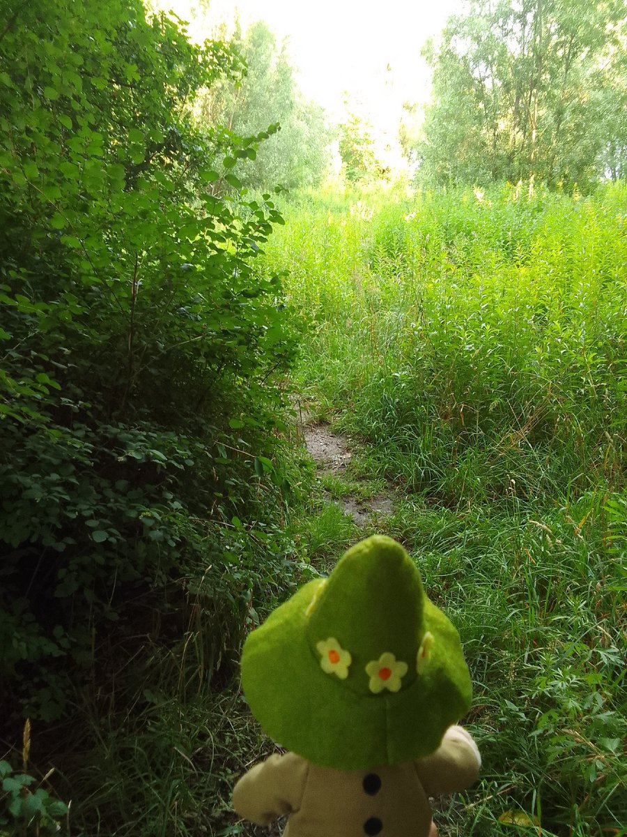socalledfishart's tweet photo. a little walk
#moominvalley #moomin #snufkin https://t.co/iEYMcfDYYg