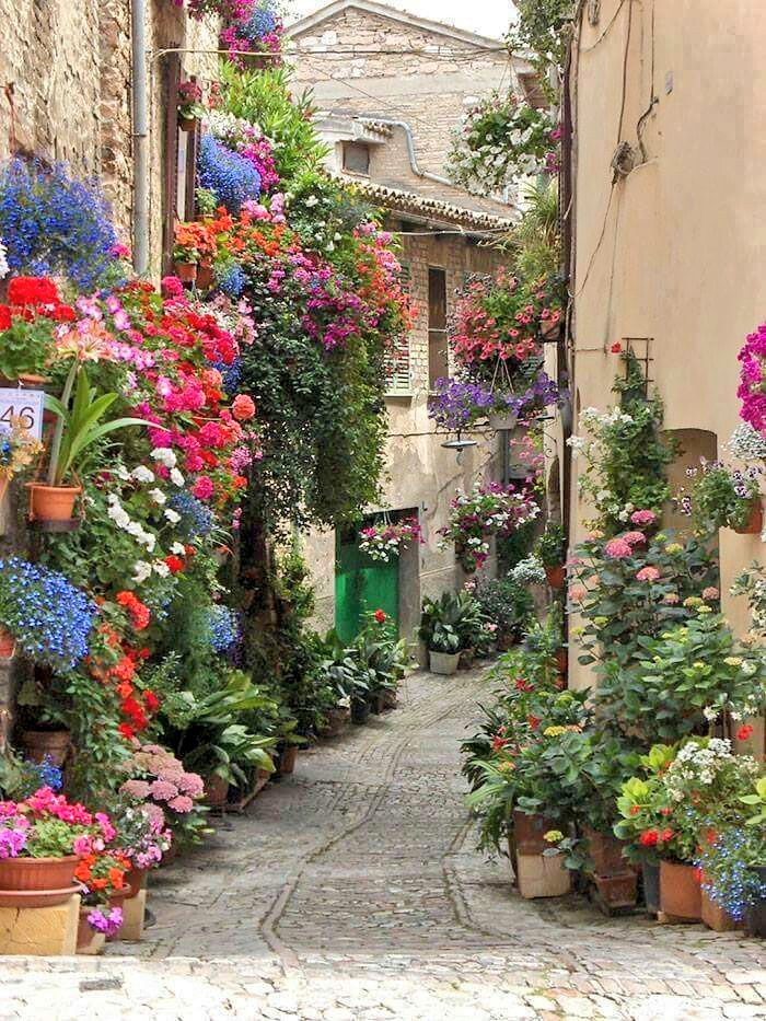 If you like it, leave a ❤️
Italy🇮🇹