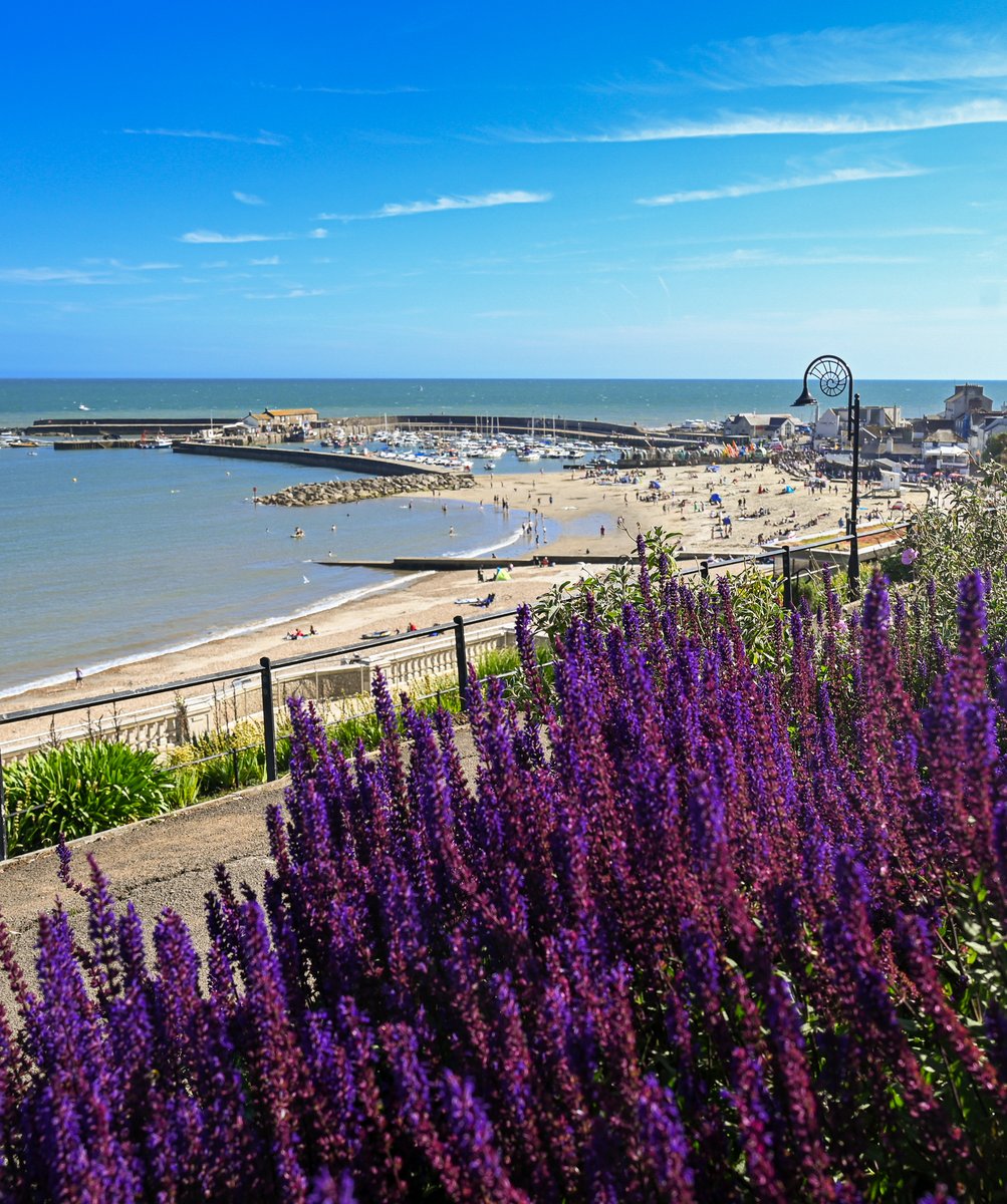 Beautiful Lyme Regis 💜
#lymeregis #dorset