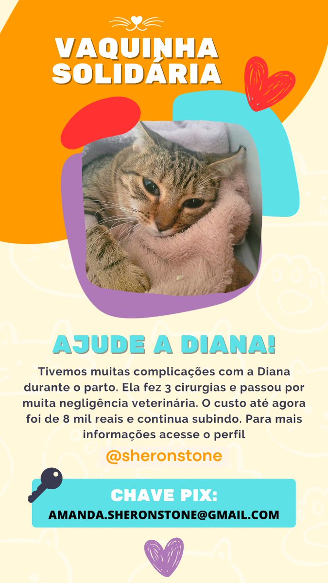 Oi pessoal!
Vim aqui pedir ajuda de vcs !
Eu tenho uma gatinha e ela estava grávida, passou por 3 cirurgia por conta de negligência médica, já gastei em torno de 8 mil e ainda vou precisar gastar + por ela estar internada ainda.
qm puder ajudar ou dar rt, ficarei grata!!