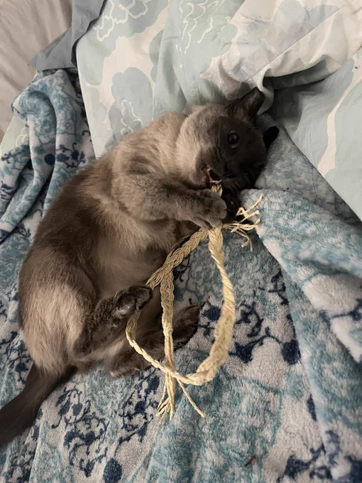 It's hers now