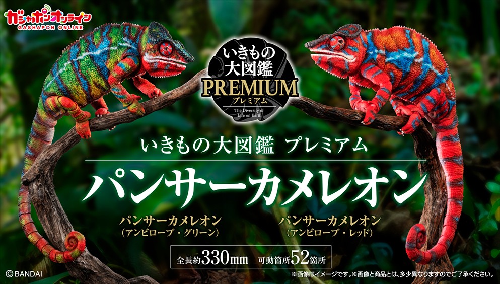 いきもの大図鑑プレミアム パンサーカメレオン （アンビローブ