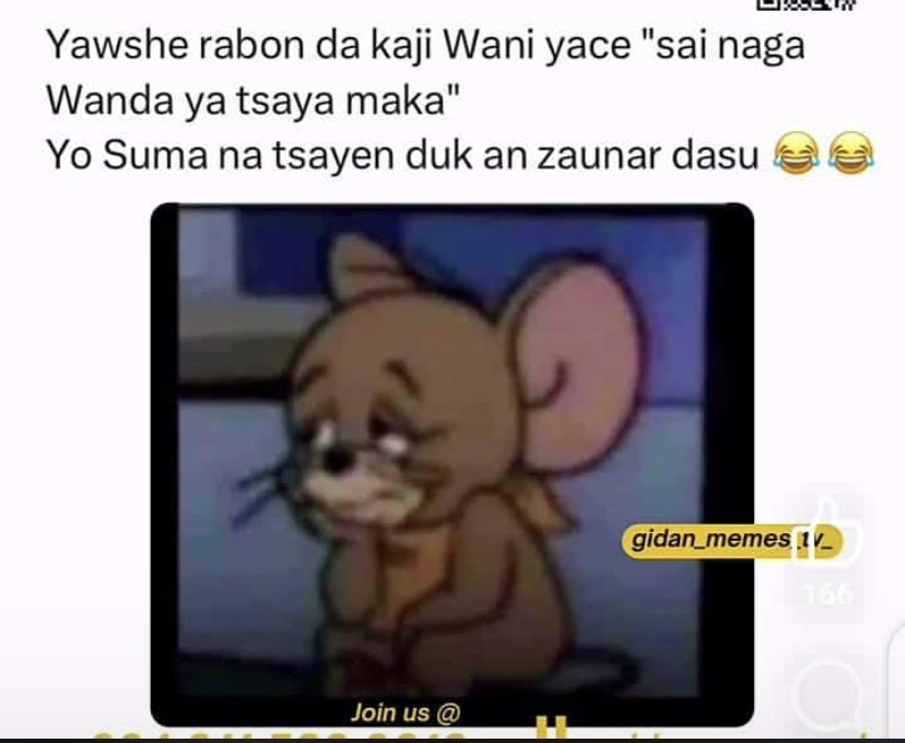 KULEEYA~KABEER 📿👌💱 tweet media