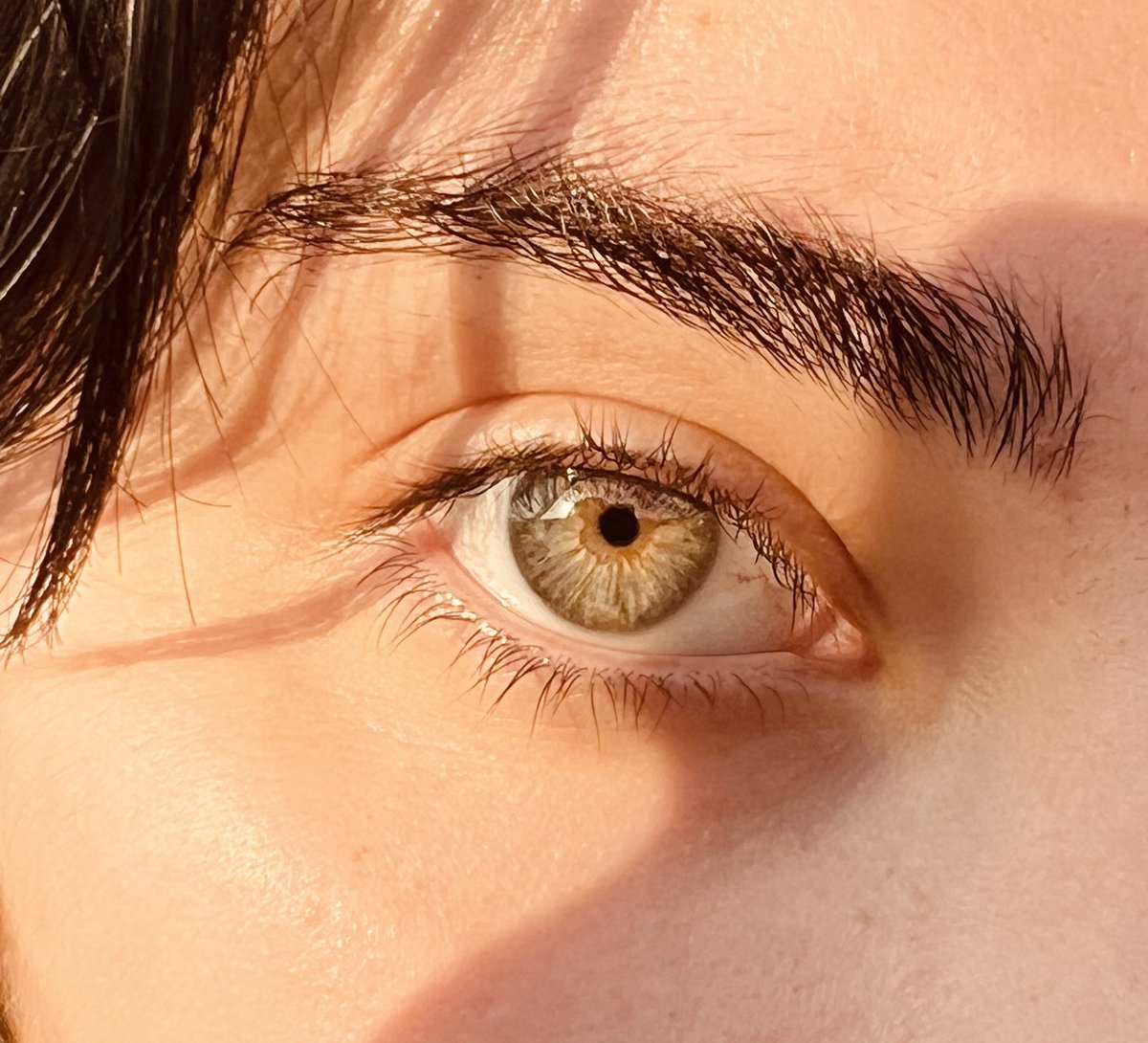 analodrobilka's tweet photo. Gay eyes are watching you 
@SutulaHata https://t.co/oOs0CG723I