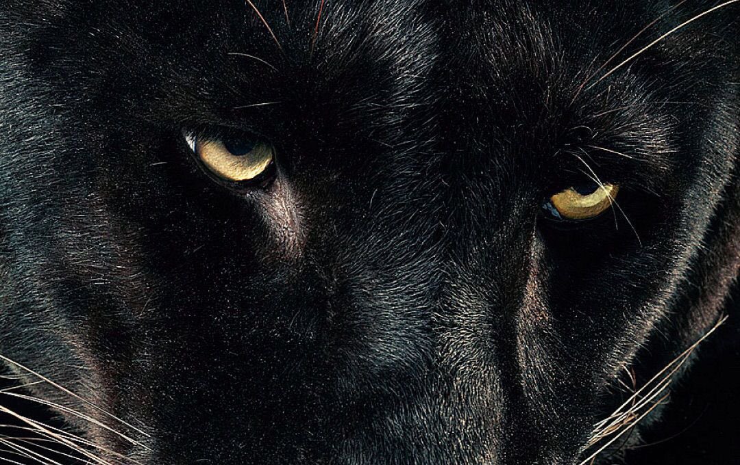 ℛ (@whosvirgomoodb) on Twitter photo 