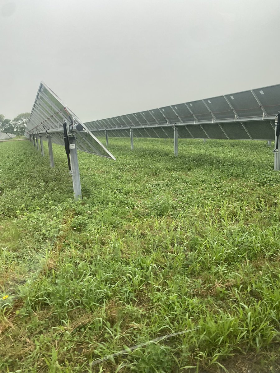GGunthorp's tweet photo. Starting to gather the last of the equipment for our utility scale #solarsheep enterprise.
Two cyclops fence chargers that will be run off solar chargers with 12 volt deep cycle batteries.
We visited the site this morning. https://t.co/0SrgNSUY4u