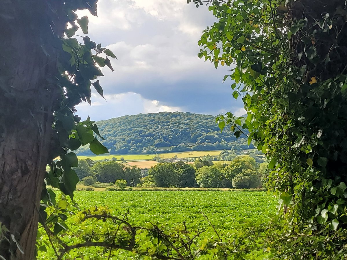 QueenofBloranj's tweet photo. Celebrations at home, a run up the usual  hill, and a race to the stones (but not THOSE ones). Not a bad Thursday 🙂
🎧 @stereolabgroop : Refried Ectoplasm ( Switched On, vol 2)
@runningpunks
@WeAreRunThings #RunATWorld https://t.co/eWahsowbX5