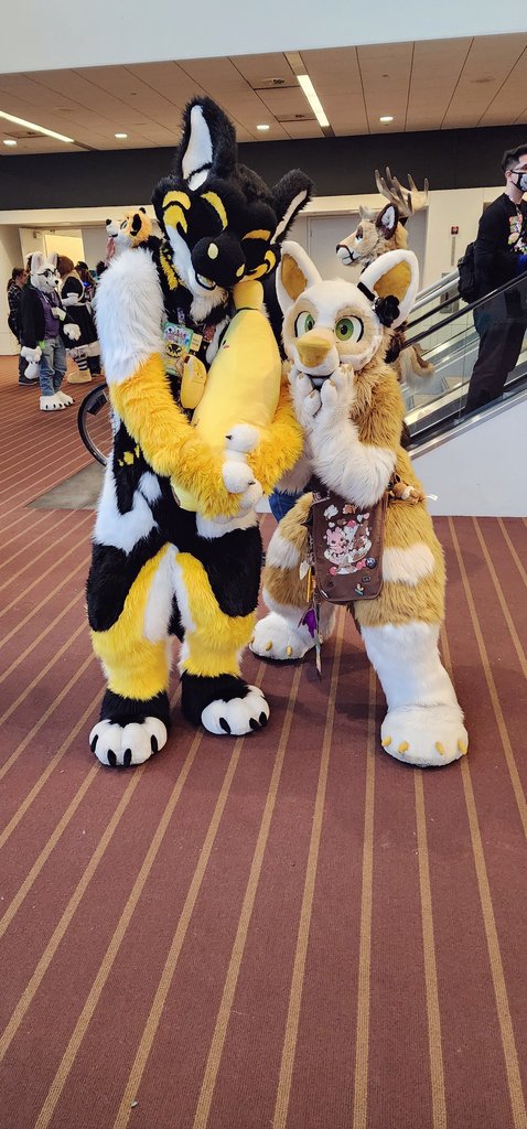 ☔️Little Mia Fox🩵 tweet media