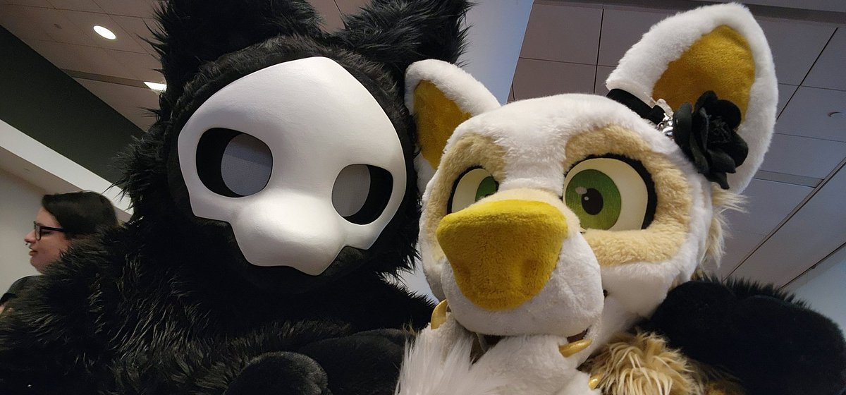 ☔️Little Mia Fox🩵 tweet media