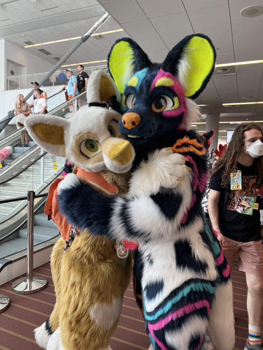 ☔️Little Mia Fox🩵 tweet media