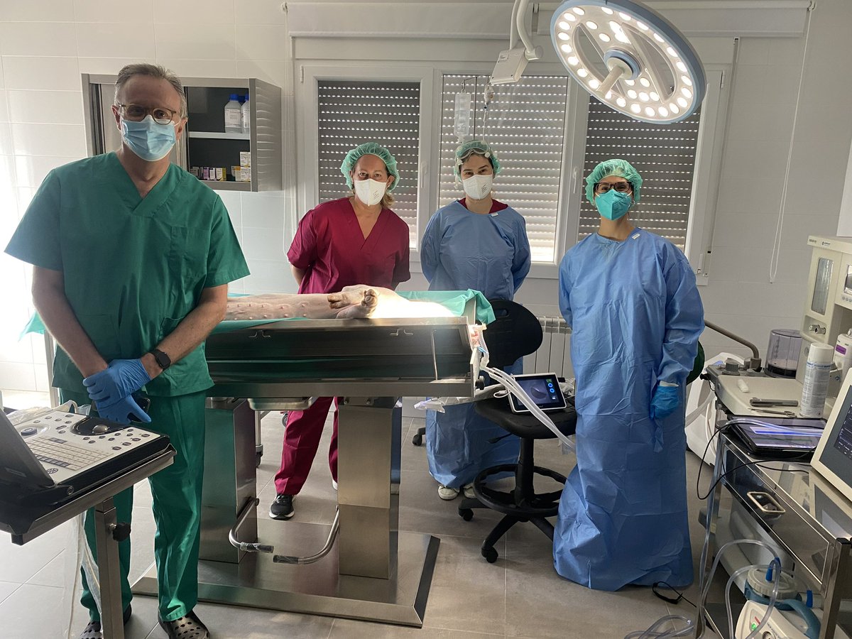 Sarah Heili-Frades Zimmermann MD, PhD tweet media