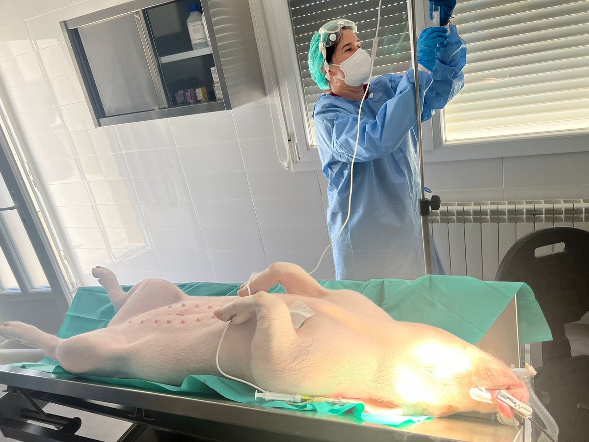 Sarah Heili-Frades Zimmermann MD, PhD tweet media