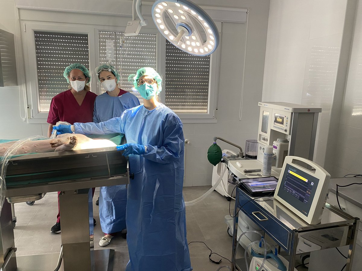 Sarah Heili-Frades Zimmermann MD, PhD tweet media