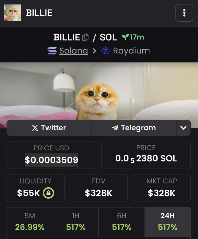 BILLIE tweet media
