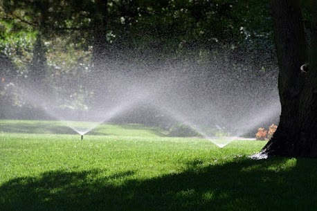 MooreCutsFL's tweet photo. To protect trees, avoid irrigation directly hitting their trunks. Water at the dripline instead to promote healthy root development. #TreeCareTips #TampaTrees #TreeTrimming #TreeService
https://t.co/4rhk7l9joQ https://t.co/zy1QKjvOHI
