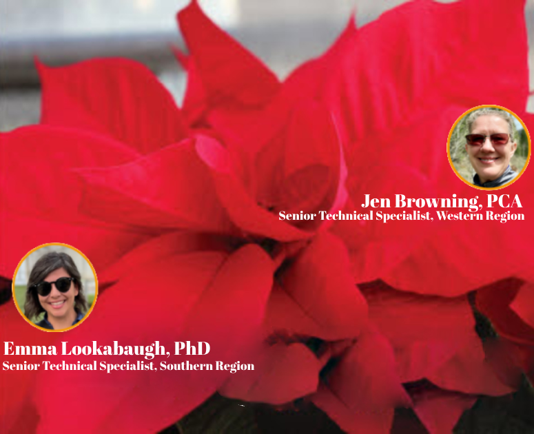 Prepare for poinsettias! Read our Perfectly on Point Resources and Education Article and learn the science behind creating a good preventative program from our experts, Emma Lookabaugh and Jen Browning. bit.ly/45v9at1