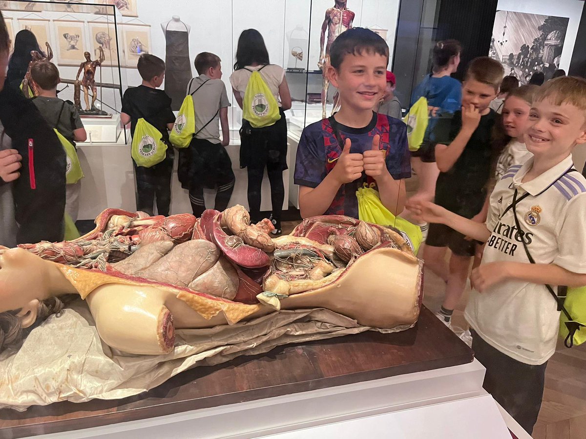 BlackoPrimary's tweet photo. Next stop @sciencemuseum for discoveries of the technological kind. The children were especially impressed with the medical display #doctorsofthefuture @ThePennineTrust #BPSLondon2024 https://t.co/SBf5kEpDBP