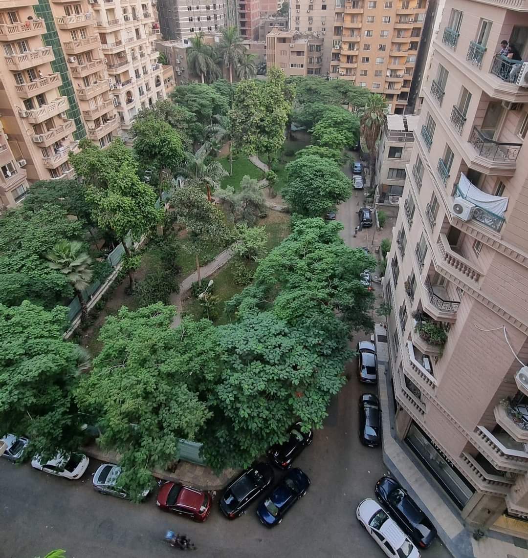 Manal_Abdelaal's tweet photo. صورة أوضح، والسكان تأكدوا من خبر تحويلها لكافيهات.
علشان الكذابين بتوع بيقضوا على الحدائق علشان يوسعوا الشوارع. https://t.co/3OO4hNUhlu