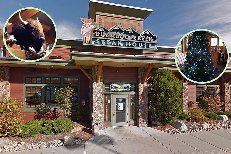 jenrara's tweet photo. The west coast mind cannot comprehend the Rhode Island-based, Canadian-themed, now defunct Bugaboo Creek, complete with Canada decor and an animatronic Christmas tree https://t.co/DJ82nGxuTJ