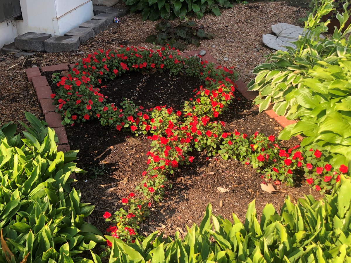 KUSM_Wichita's tweet image. 👀 Brilliant colors are emerging in our AIDS Memorial Garden, adjacent to the KU Wichita Internal Medicine Midtown Clinic. #exploreKU