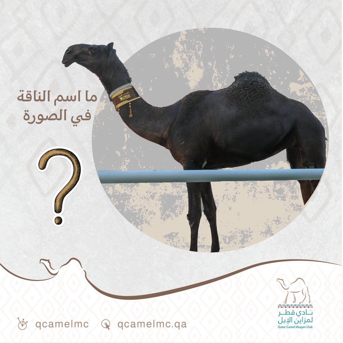QCamelMC's tweet photo. سؤال الأسبوع من #مسابقة_جزيلات_العطا

🧭 نستقبل الإجابات حتى يوم الإثنين 15 يوليو 

 ⬅️ اختيار الفائز عبر السحب في بث مباشر يتم الإعلان عن موعده نهاية الشهر الجاري.

🔴 ملاحظة: يتم اختيار الفائز بعد استيفاء جميع شروط المسابقة فقط. https://t.co/5K4QuWaNNZ
