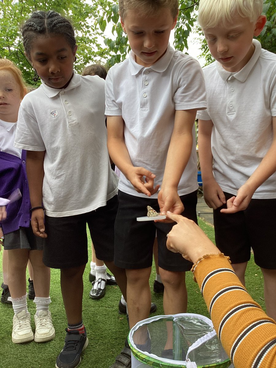 HeadcornPrimary's tweet photo. 🦋✨ Year 2 watched their caterpillars transform into beautiful butterflies! This hands-on experience brought their 'Animal Survival' science topic to life. Huge thanks to the PTFA for making this magical journey possible! 🌱💖 #ButterflyRelease #ScienceInAction #Grateful https://t.co/NG9nOp4QpH