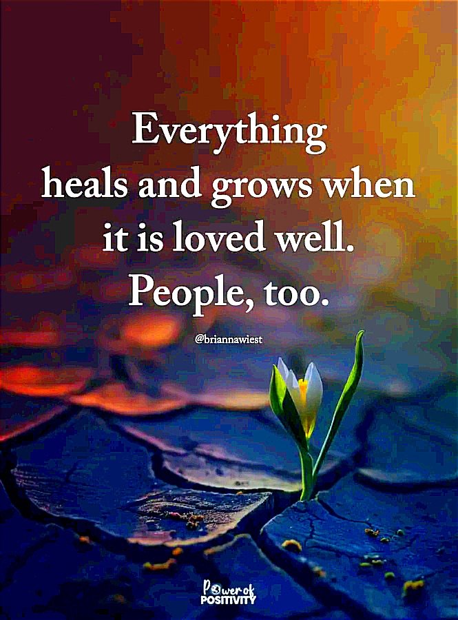 Swabra_'s tweet photo. Nourished 💫 https://t.co/Y6VntegIiJ