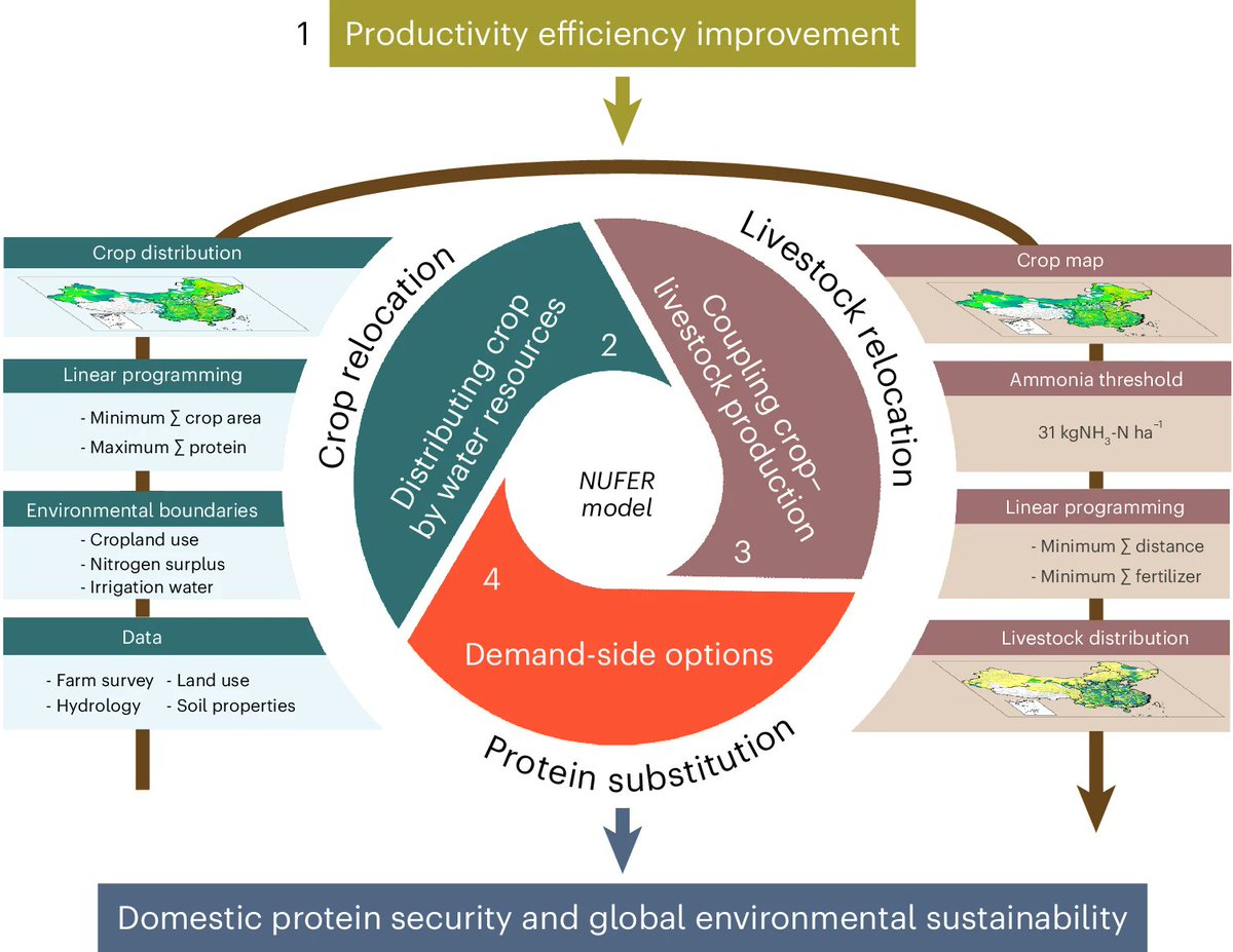 GlobalFoodTeam's tweet photo. Fresh off the press! 🔔 A new article from @NatureFoodJnl, proposes strategies to achieve protein self-sufficiency in China and reduce environmental impacts. Key innovations could close 80% of protein gaps and cut GHG emissions by 22-27%. Read more: https://t.co/ToaECIykI2 https://t.co/vfVmdYQDUo