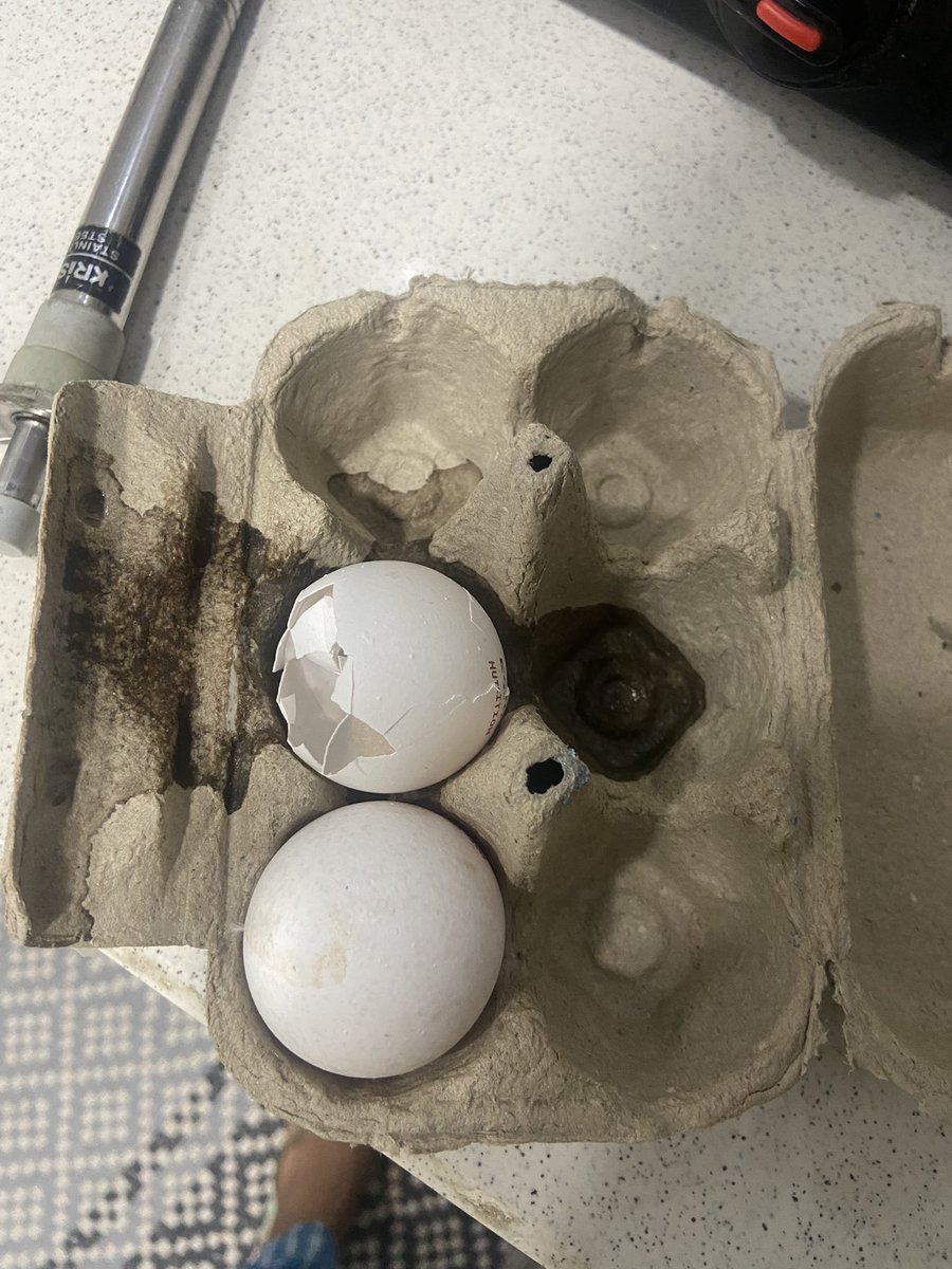 sandra_aro's tweet photo. Rotten eggs for the 3rd time I got delivered..this is not at all about money but ones individual health..selling fake items..like seriously public don’t care abt the money but quality @letsblinkit @eggo @eggoz @ZeptoNow @amazonIN @jagograhakjago @OrganicConsumer @PIBConsumerFood https://t.co/iT9NsCIKDg